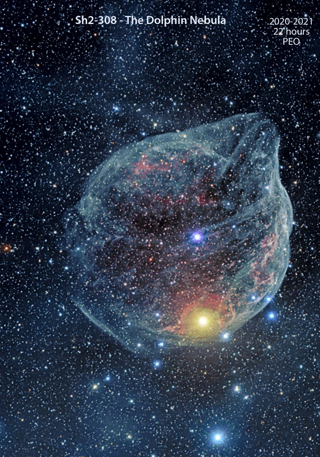 Sh2-308, the Dolphin Nebula